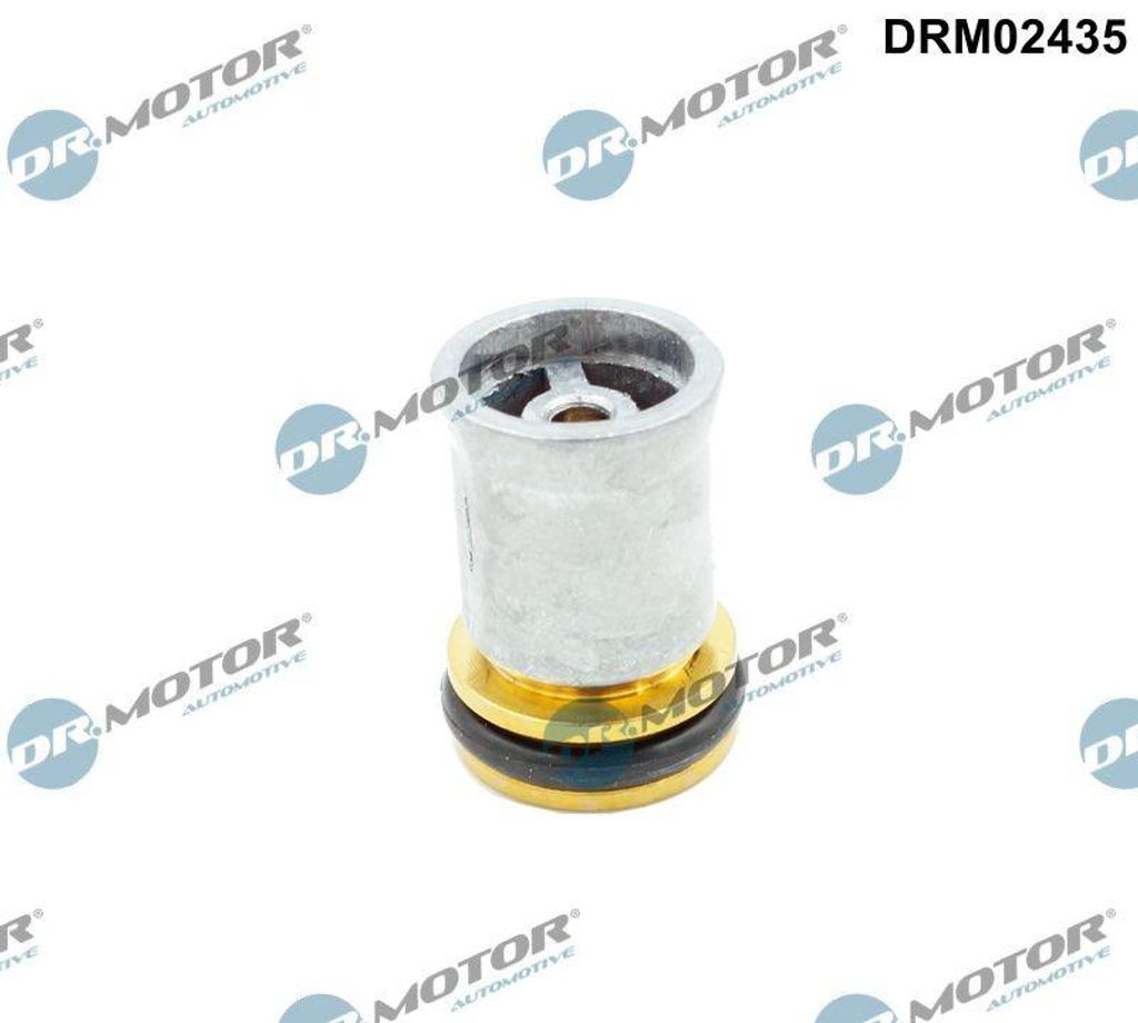 DR.MOTOR AUTOMOTIVE Rückschlagventil DRM02435 Zylinderkopf für VW GOLF VI (5K1)