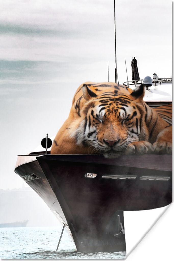 MuchoWow Poster Tiger - Boot - Meer 20x30 cm - Papierdruck