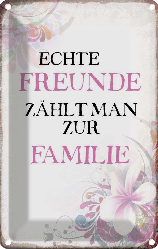 vianmo Blechschild 18x12 cm echte Freunde zählt zur Familie Spruch Zitat