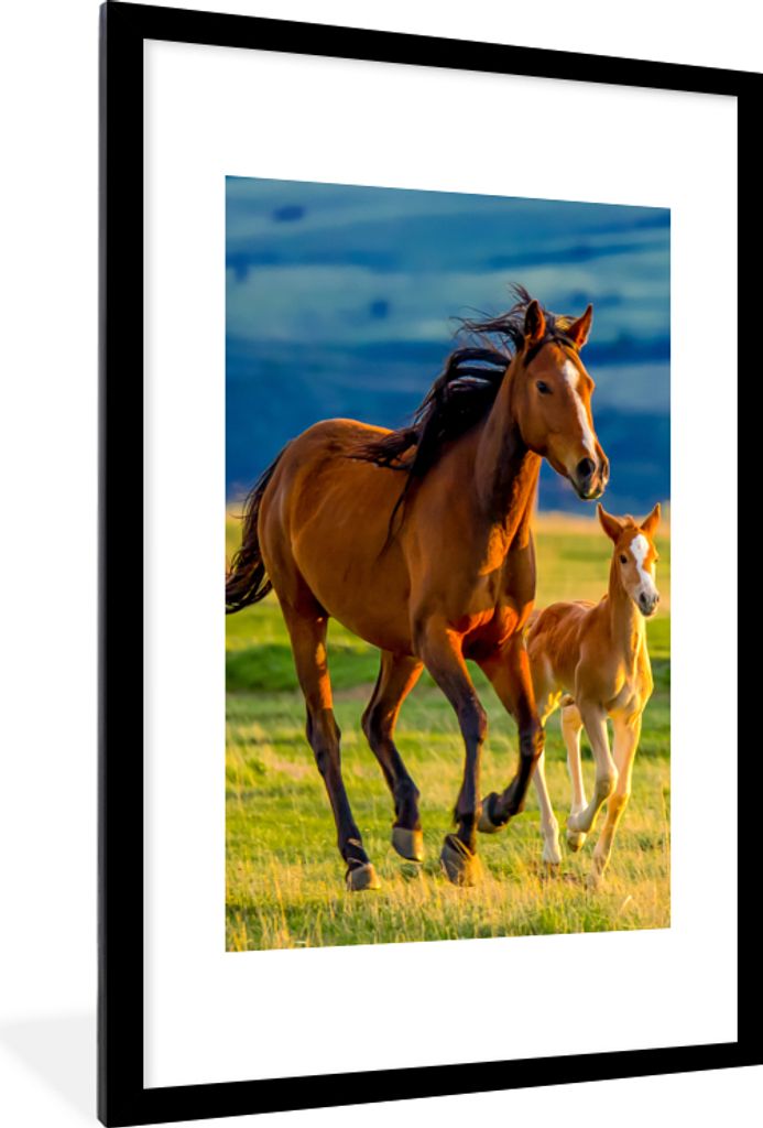 MuchoWow Gerahmtes Poster Pferde - Gras - Tiere - Landschaft - Natur 60x90 cm - Poster mit Schwarzem Bilderrahmen Wandposter Rahmen Foto Bilder -...