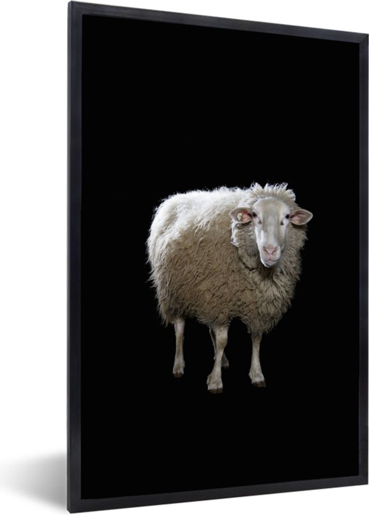 MuchoWow Gerahmtes Poster Schafe - Nutztiere - Schwarz 60x90 cm - Poster mit Schwarzem Bilderrahmen Wandposter Rahmen Foto Bilder - Kunst