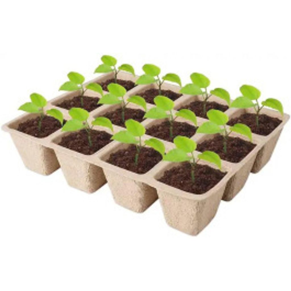 sadbovač papírový 21x17x5cm 15 sazenic balení 5ks Obrázek produktu 