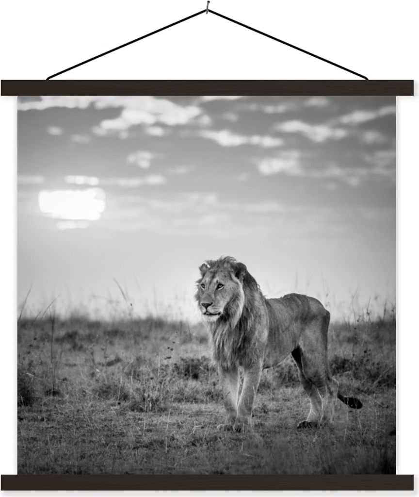 MuchoWow Textilposter Löwe - Sonnenuntergang - Jagd 120x120 cm mit schwarzem Rahmen - Aufhängungsset