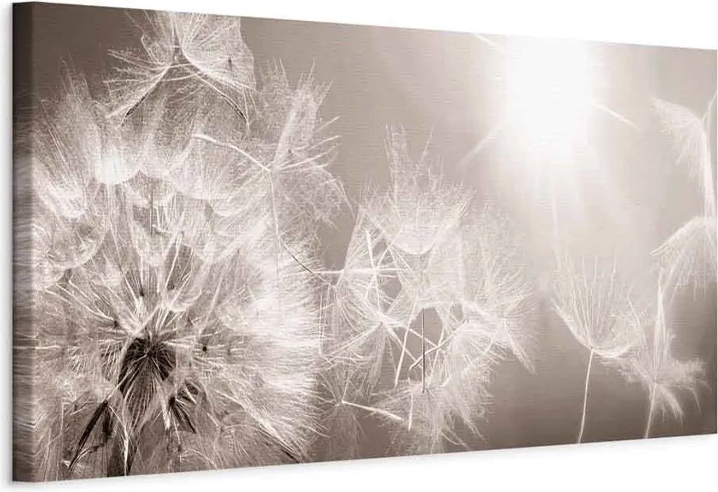 Quadro in tessuto non tessuto - Dente di leone estivo 135x45 cm Fiori b-C-0161-b-a
