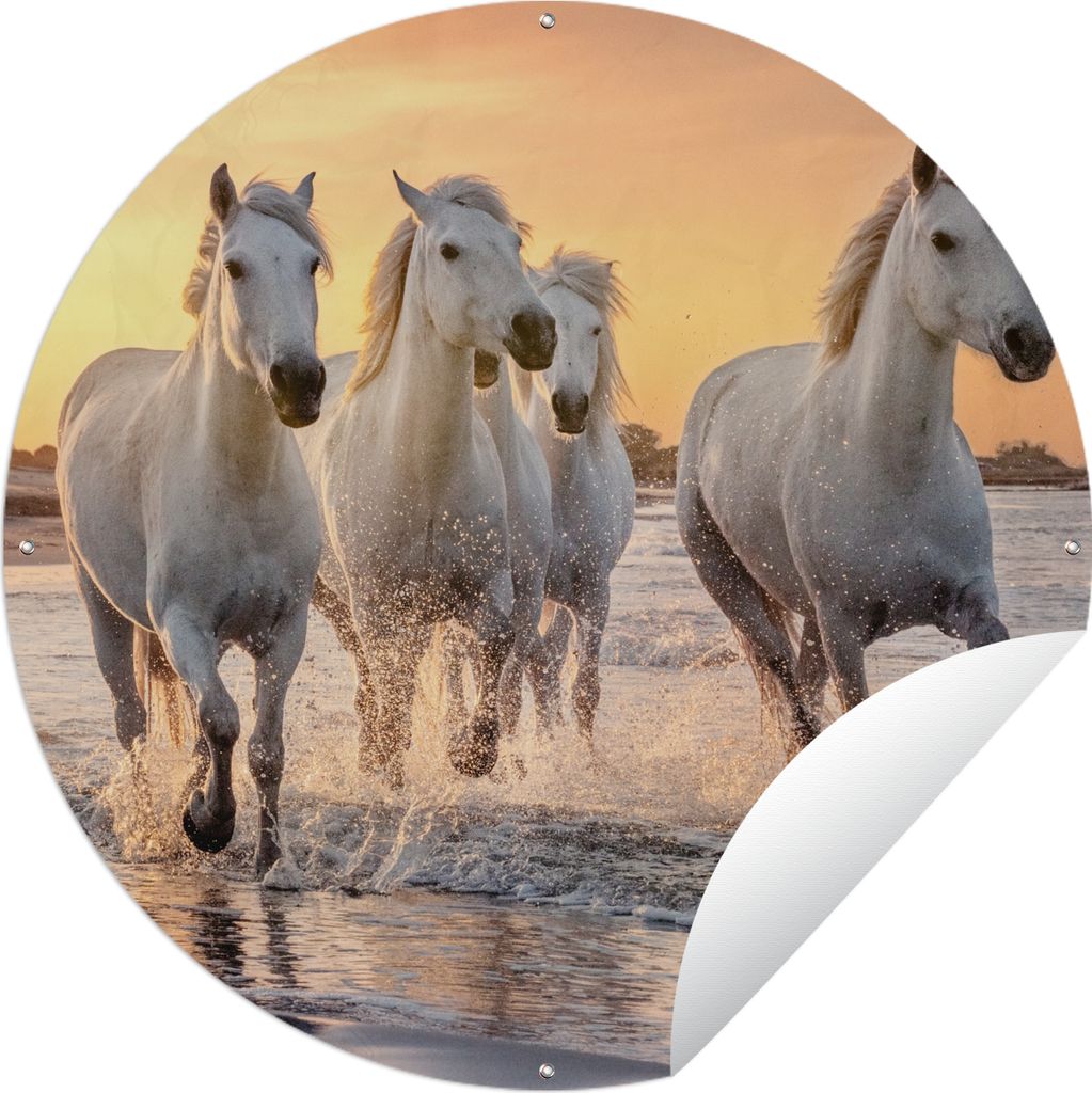 MuchoWow Gartenposter Outdoor-Poster Rund Pferde - Sonne - Meer - Strand - Tiere Ø 60 cm Gartendeko Rundes Poster draußen
