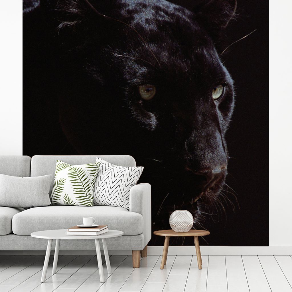 MuchoWow Fototapete für Wohnzimmer oder Schlafzimmer Wandtapete Vinyl Motivtapete Panther - Tier - Schwarz - 350x350 cm - Schlafzimmertapete