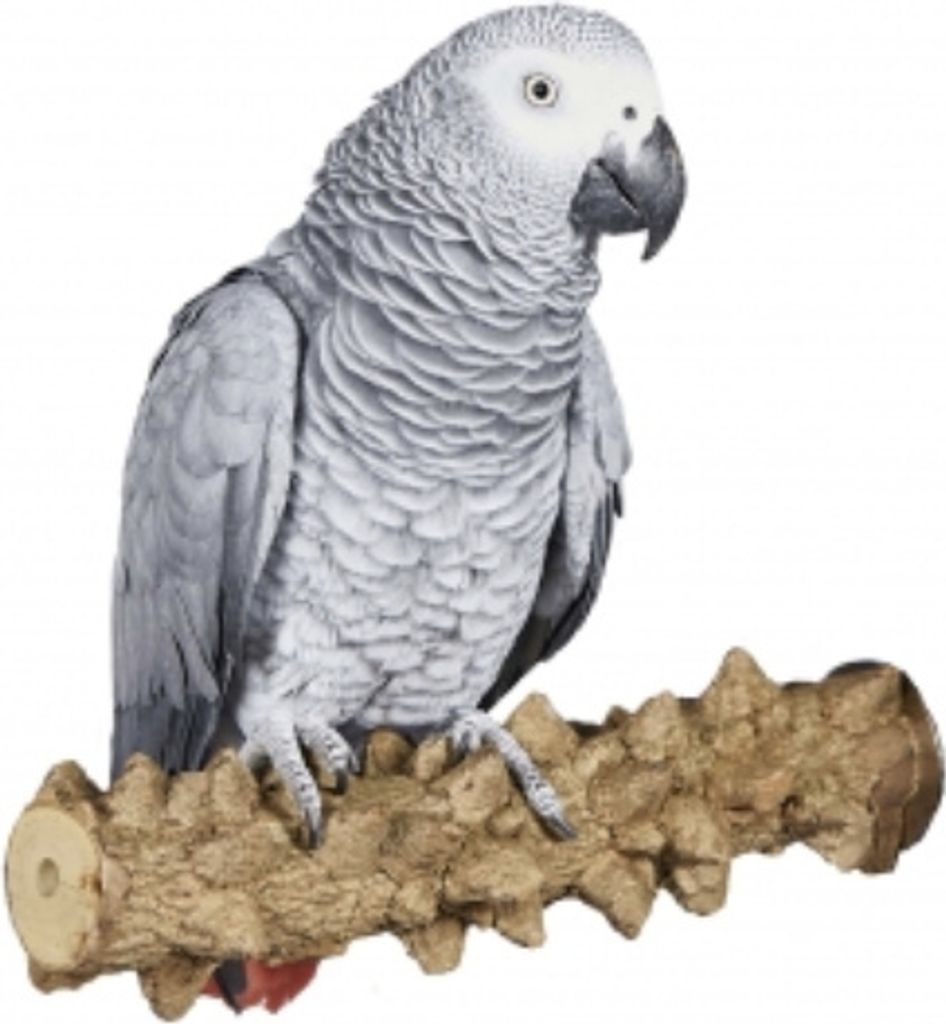 Pepperwood XL papegaaienstang voor grote papegaaien, Productafbeelding 