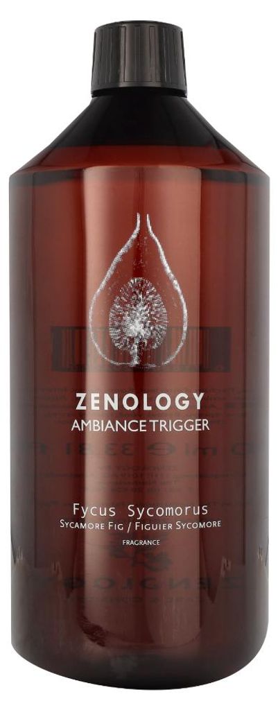 Pokojový difuzér Zenology Fycus Sycomorus Obrázek produktu 