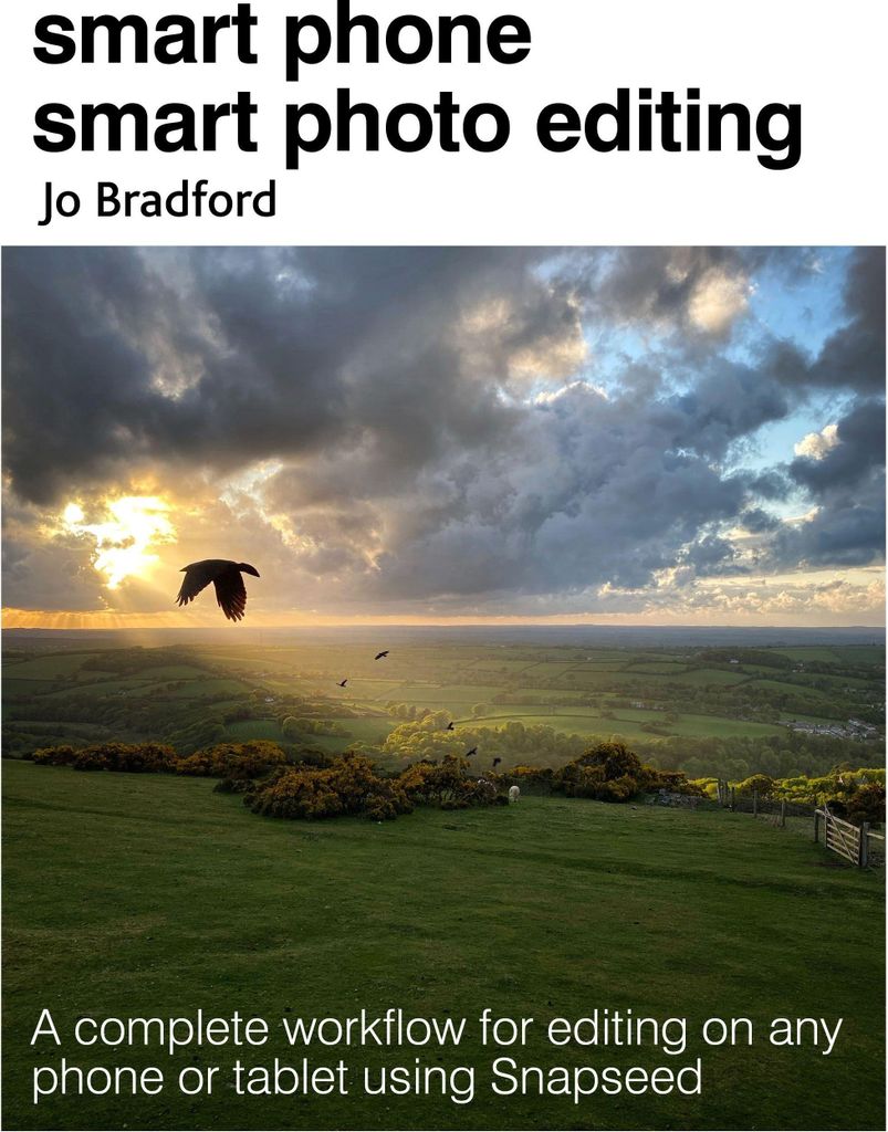 Smart Phone Smart Photo Editing