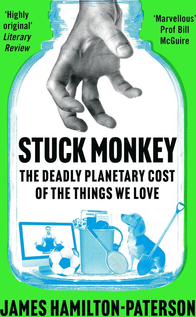 Stuck Monkey