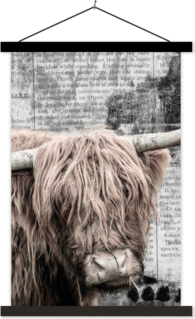 MuchoWow Textilposter Schottisches Hochlandrind - Vintage - Zeitungsartikel 60x90 cm mit schwarzem Rahmen - Poster Wohnzimmer