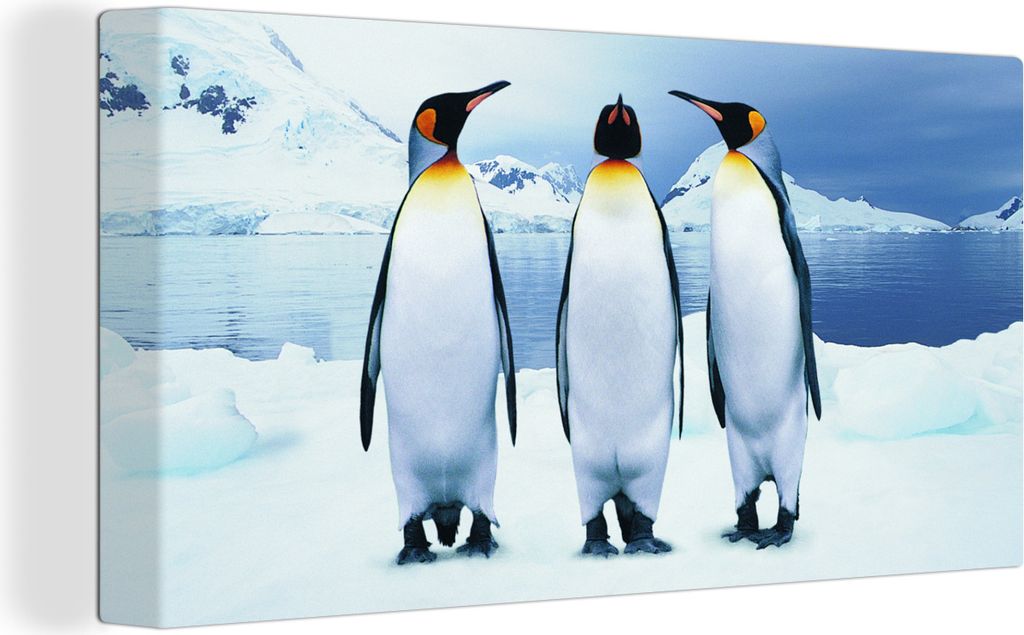 MuchoWow - Leinwandbilder - Drei Pinguine Porträt, Wandbild, Wanddeko Bilder Wohnzimmer, 80x40 cm