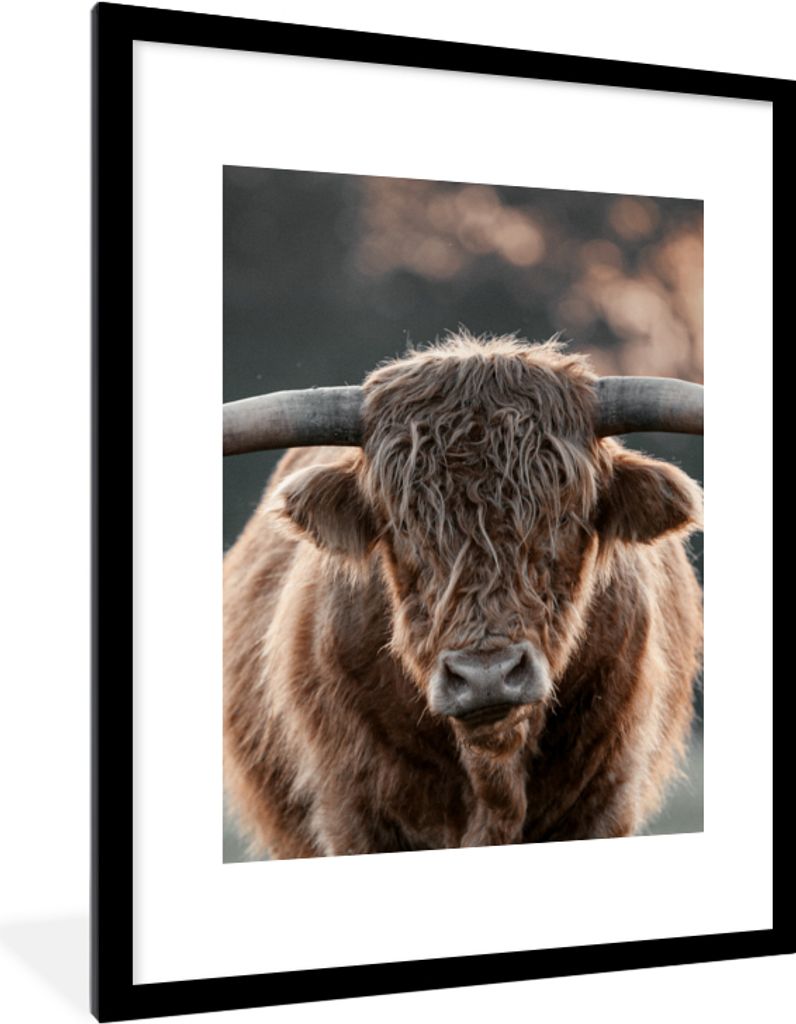 MuchoWow Gerahmtes Poster Kuh - Schottischer Highlander - Vlies 60x80 cm - Poster mit Schwarzem Bilderrahmen Wandposter Rahmen Foto Bilder - Wohn...