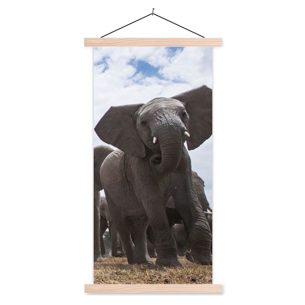 MuchoWow Textilposter Elefant - Tiere - Natur - Flachland 40x80 cm mit holzfarbenen Rahmen - Wohnzimmer