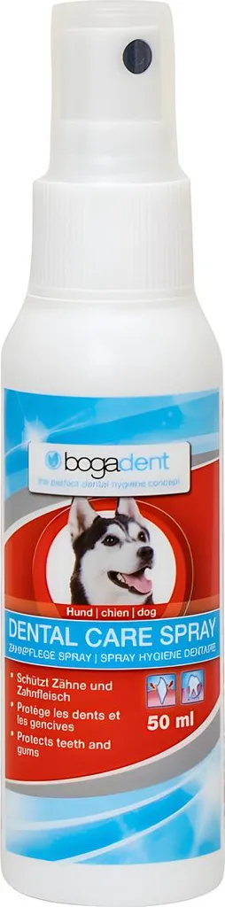 Nettoyant buccal pour chien Bogar 3887 - Spray fraîcheur aérosol 50 ml