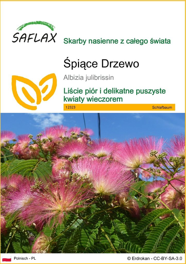 SAFLAX - Śpiące Drzewo - 50 Nasiona - Albizia julibrissin Zdjęcie produktu 