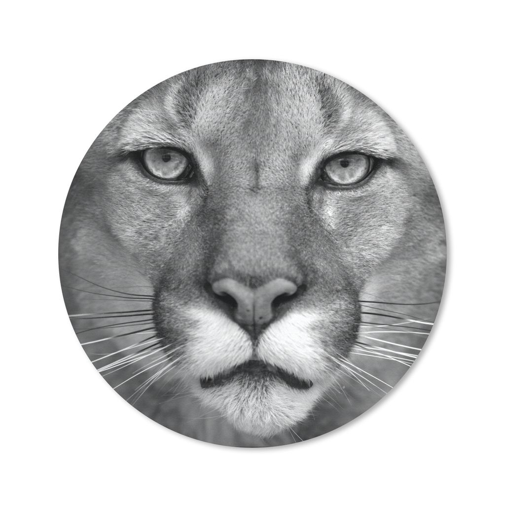 MuchoWow Mauspad Mousepad Panther - Wildlife - Schwarz - Weiß 30x30 cm - Mousepads - Maus Mat - Pad - Mausunterlage - Tischunterlage - Schreibti...