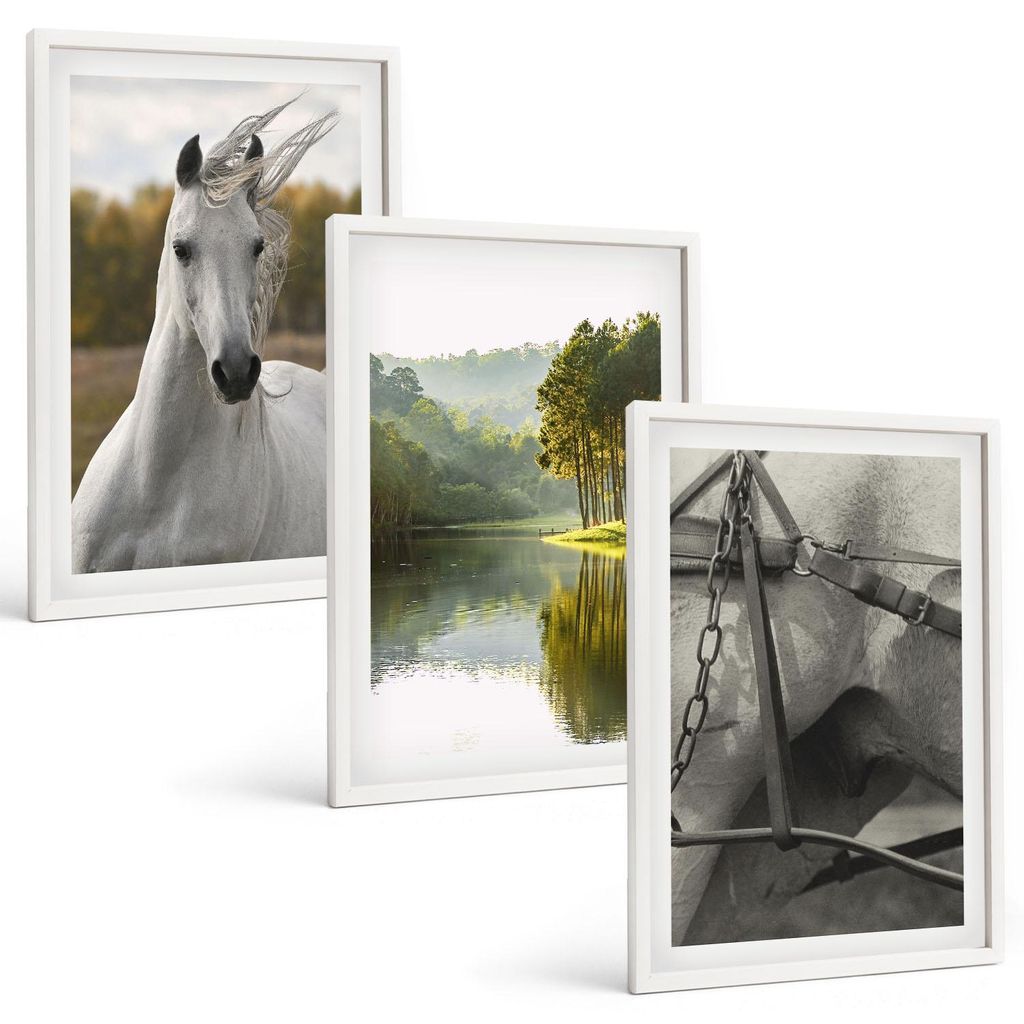Bilder Set 3-teilig im weißen Rahmen – Wandbilder 3 Stück – gerahmte Poster für Wohnzimmer, Schlafzimmer und Flur – 40x60 cm – Natur des...