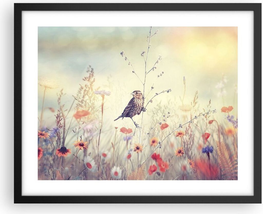 Gerahmtes Poster - Schwarzer Rahmen - Vogel Wildschwein Wiese - 50x40 cm - Wand Bild - Wanddeko - Wandbilder - Wandposter - Bilderrahmen - Bilder -...