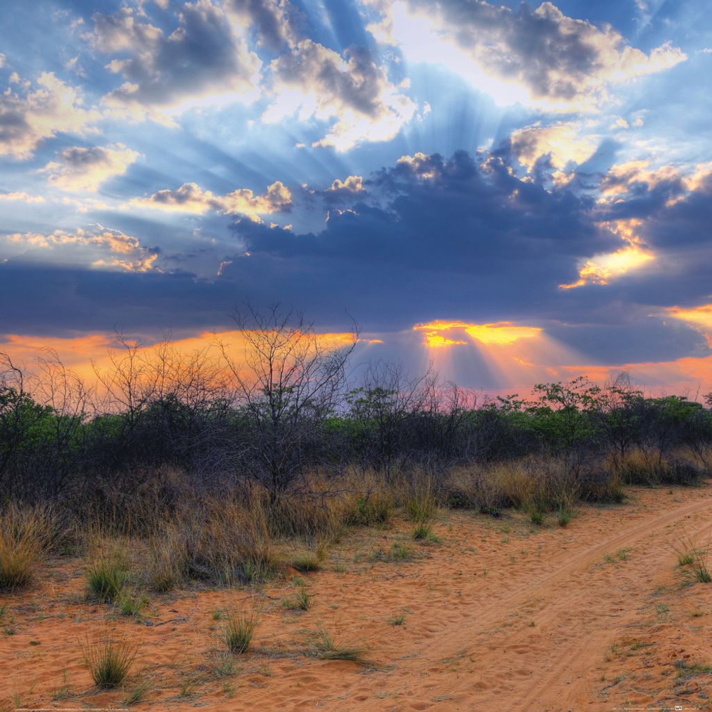 Sonnenuntergänge Kunstdruck Bild - Sonnenstrahlen Scheinen Durch Die Wolken, Waterberg National Park, Namibia (70 x 70 cm)
