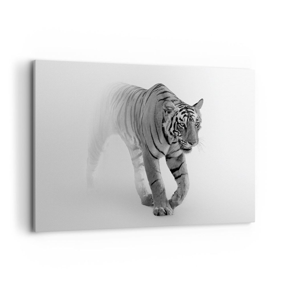 Bild auf Leinwand - Leinwandbild - Einteilig - Tiger Monochrom Porträt - 100x70cm - Wand Bild - Wanddeko - Wandbilder - Leinwanddruck - Bilder - W...