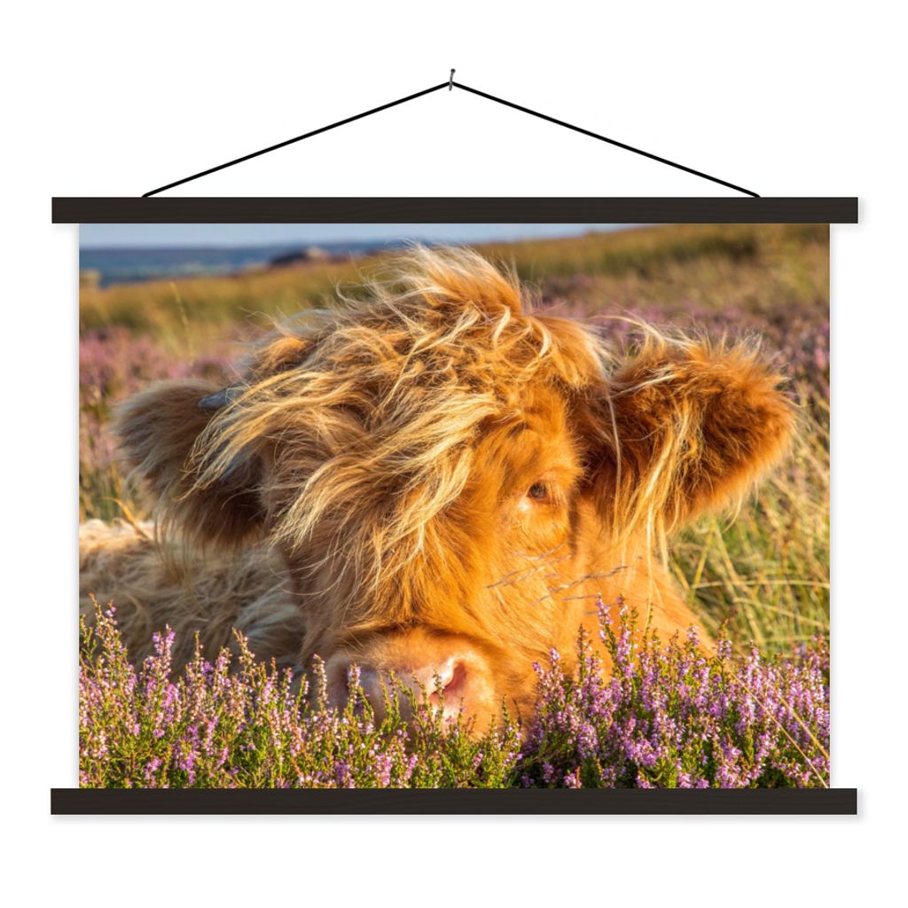 MuchoWow Textilposter Schottische Highlander - Heide - Gras - Tiere 150x113 cm mit schwarzem Rahmen - Wohnzimmer