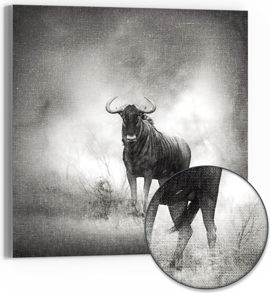 DEQORI Hybrid Leinwand Bild 50x50 cm 'Regenwächter' Wandbild Glas flach modern