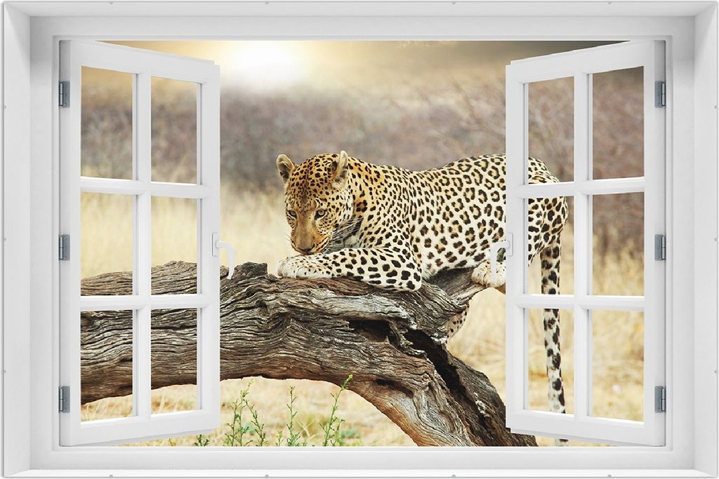 Wallario Wandbild mit Fenster-Illusion: Leopard auf Baumstamm in Afrika, Größe: 61 x 91,5 cm, Poster mit rahmenlosen Bildhalter