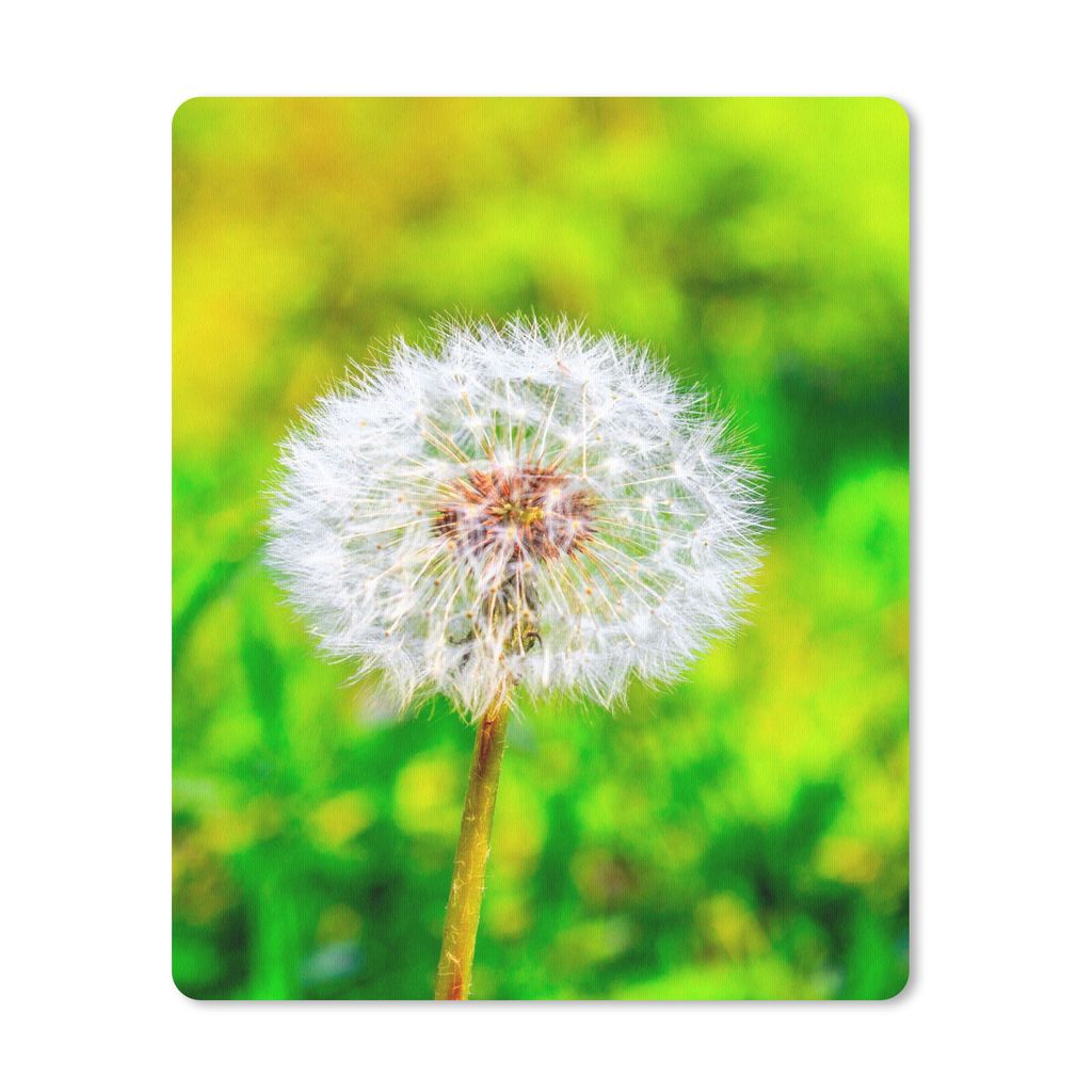MuchoWow Mauspad Mousepad Löwenzahn - Gras - Blume 19x23 cm - Mousepads - Maus Mat - Pad - Mausunterlage - Mauspads - Spielen