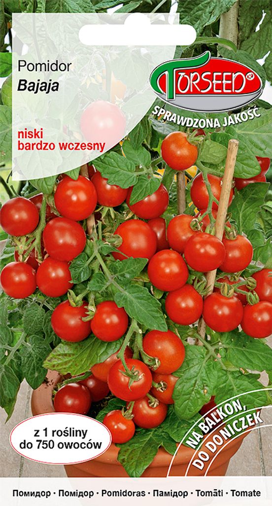 Samen der Cherrytomate - Torseed