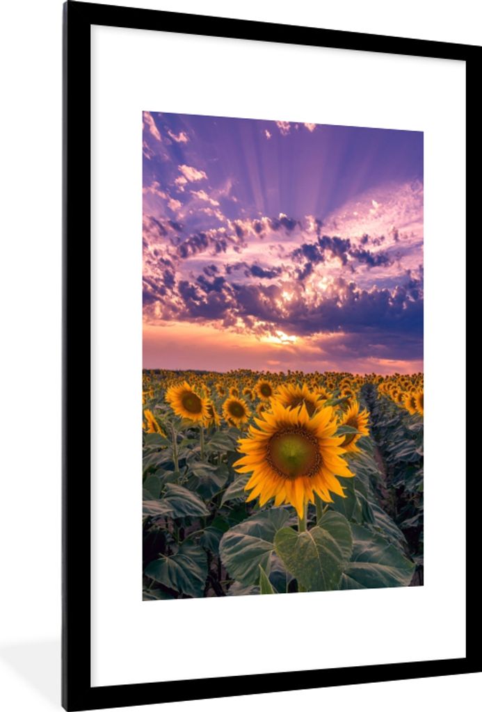 MuchoWow Gerahmtes Poster Blumen - Himmel - Lila - Sonnenuntergang 60x90 cm - Poster mit Schwarzem Bilderrahmen Wandposter Rahmen Foto Bilder - D...