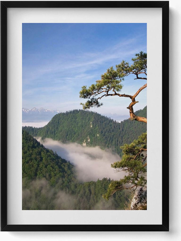 Sokolica-Gipfel im Pieniny-Gebirge– Wandbild mit Rahmen – Gerahmtes Bild – Wanddekoration – 50x70 cm – Schwarz Rahmen
