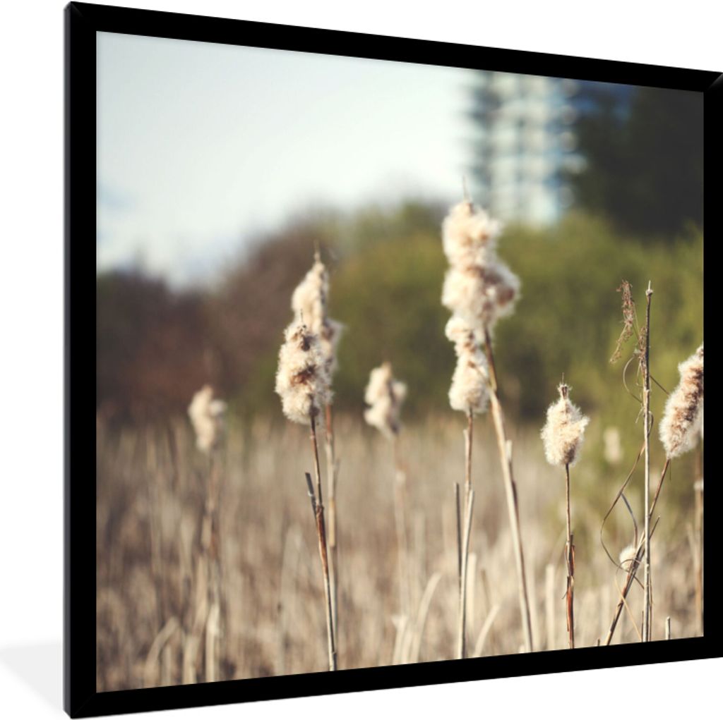 MuchoWow® Gerahmtes Poster Baumwolle - Sonne - Pflanzen Produktbild 