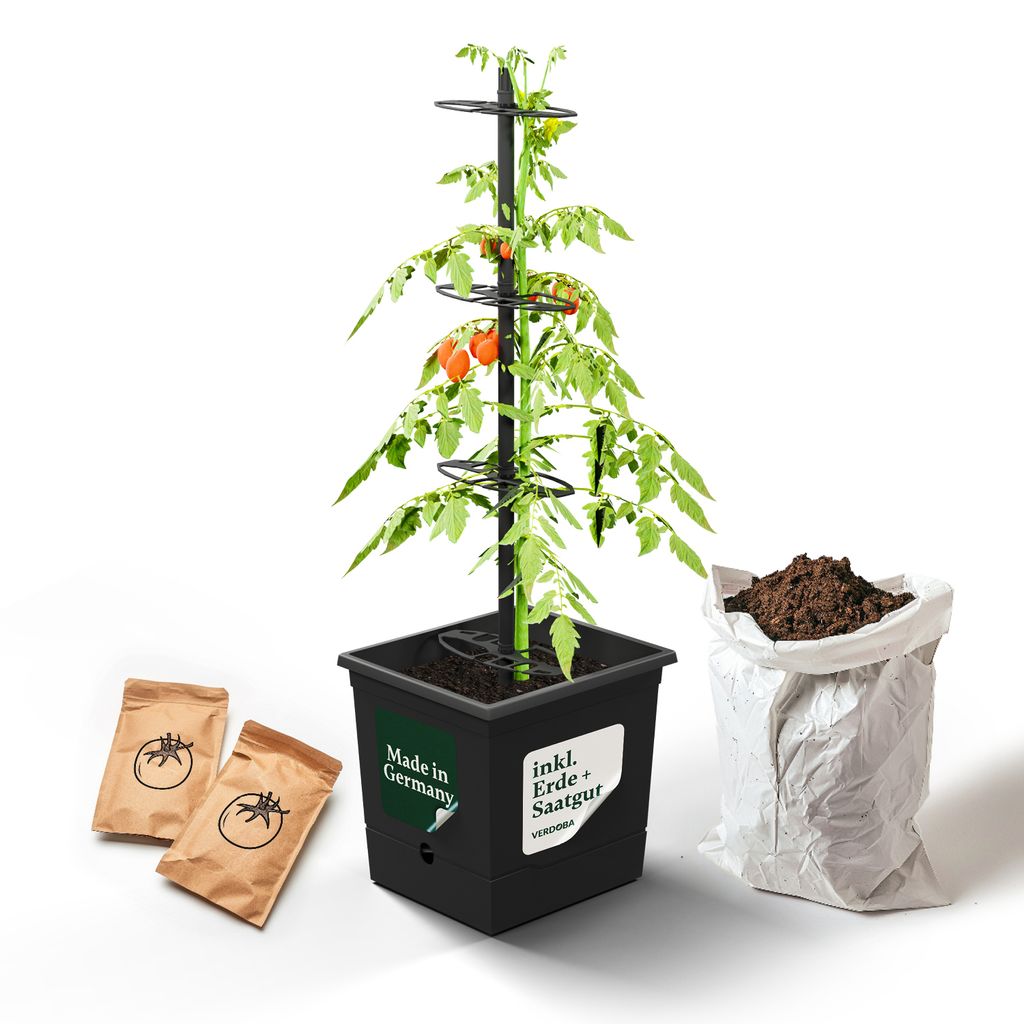 Nachhaltiger Tomatentopf Tomaten Anzuchtset Saatgut & Erde - Rankhilfe