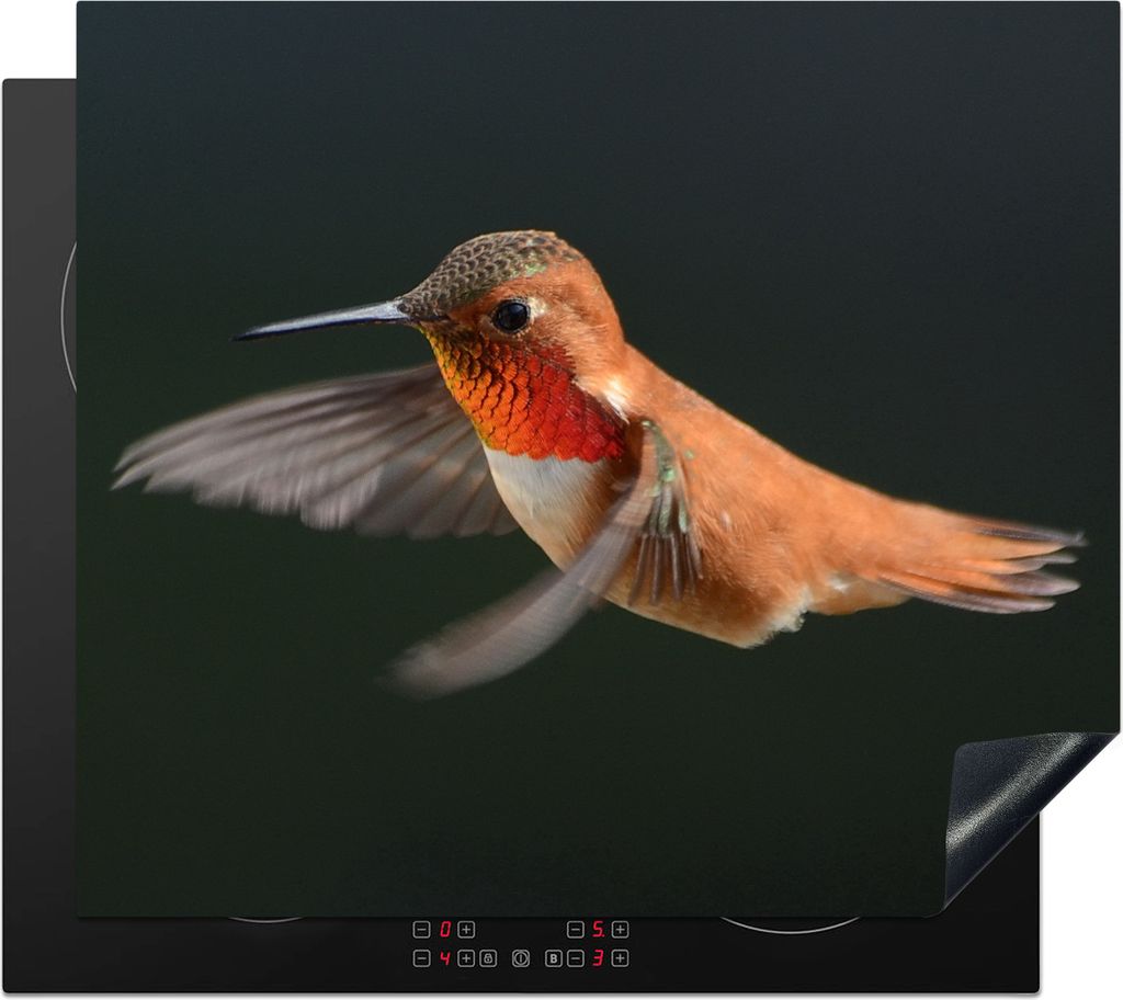 KitchenYeah© Herdabdeckplatte Kolibri - Federn - Schwarz , Produktbild 