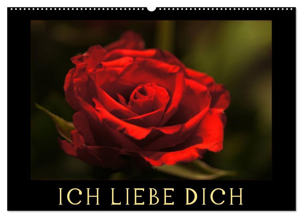 Ich liebe Dich (Wandkalender 2027 DIN A2 quer), CALVENDO Monatskalender