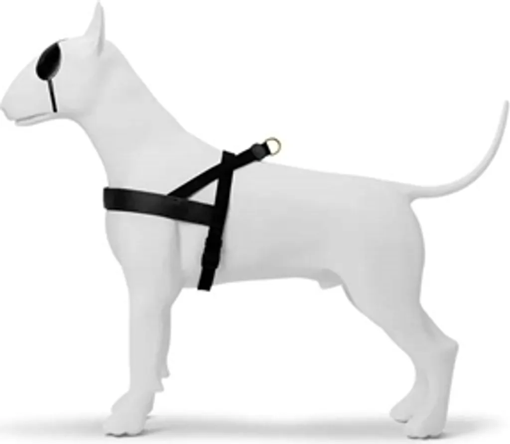MORSO Pettorina Cane Norvegese Resistente Oro Caviale - Pro