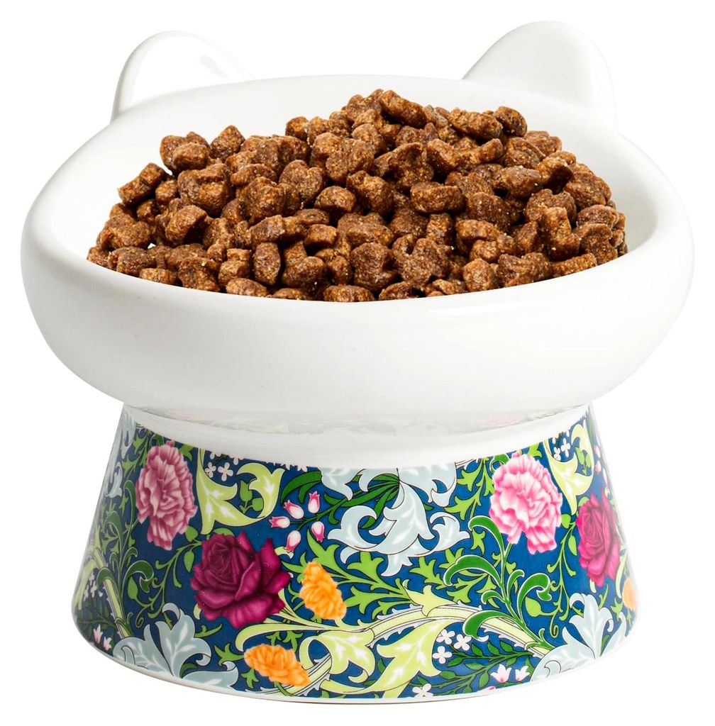Katzennapf Erhöht Keramik, Breite und Geneigte Futternapf Katze mit Ständer, Anti Erbrechen Flache Fressnapf Katze, Katzenschüssel für Kätzche...