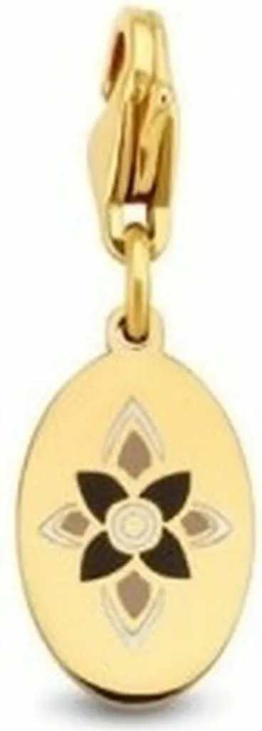 Charm CO88 8CH-00008 en Acier Inoxydable et Verre Poli Haute Qualité