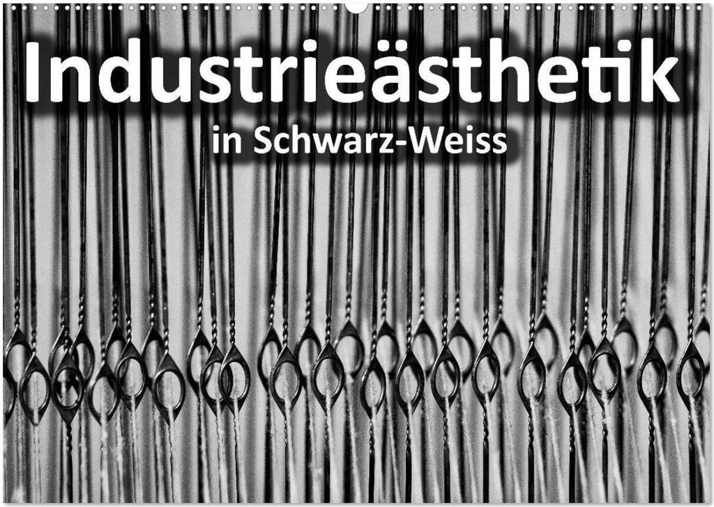 Industrieästhetik in Schwarz-Weiss (Wandkalender 2026 DIN A2 quer), CALVENDO Monatskalender
