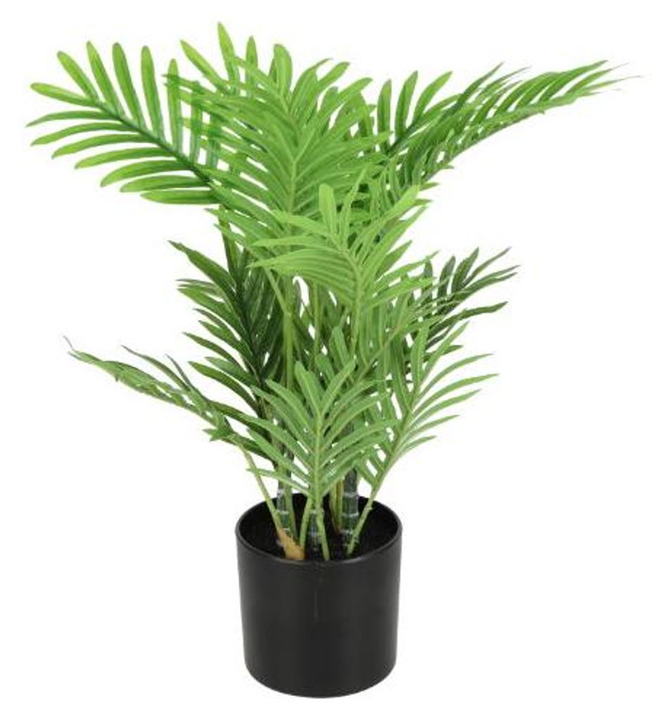 Kunstpflanze Areca 26x30x40 cm grün Countryfield Produktbild 