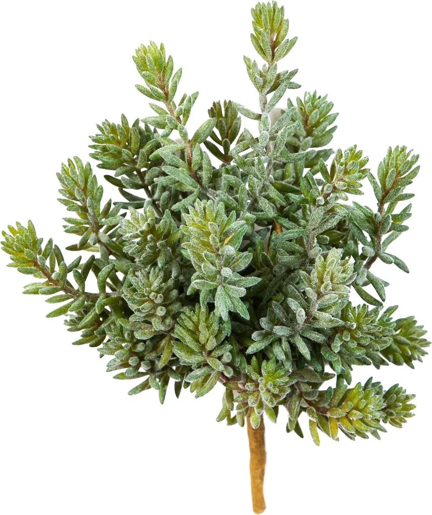 aplanta Künstliche Sedum - Helin | 20 cm, für drinnen, Kunstpflanze, wie echt, Allergiker geeignet, pflanzliche Dekoration Praxis, Office & Wohnz...
