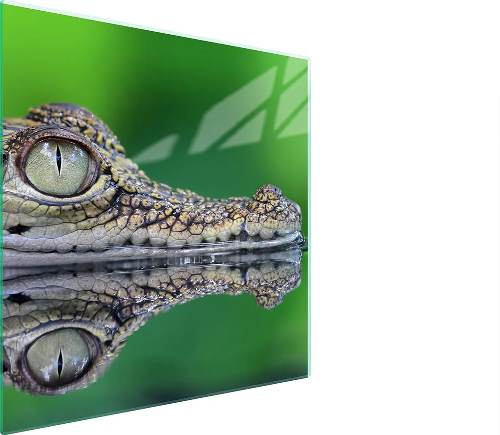 Piastra Protettiva Vetro 50x52 Erba Crocodil: Resistenza Termica Top