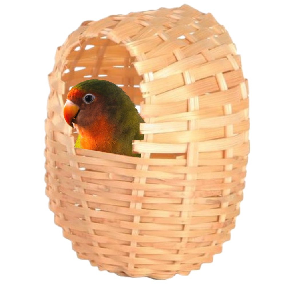 Nistkasten - Nistkasten - für kleine Papageien und exotische Vögel