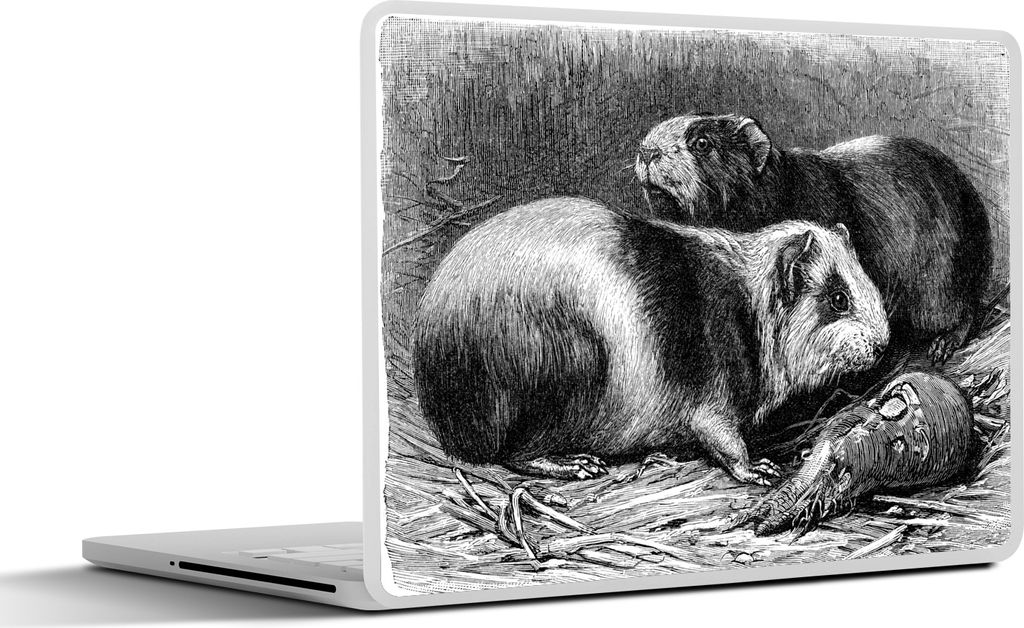 MuchoWow Laptop Aufkleber Sticker Cover Eine Schwarz-Weiß-Illustration von zwei Meerschweinchen 30x22 cm - Laptop-Sticker
