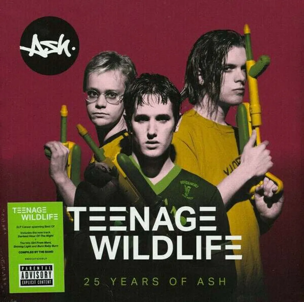 Ash Teenage Wildlife 25 Years Of Ash Double Vinyle Anthologie 2 LP