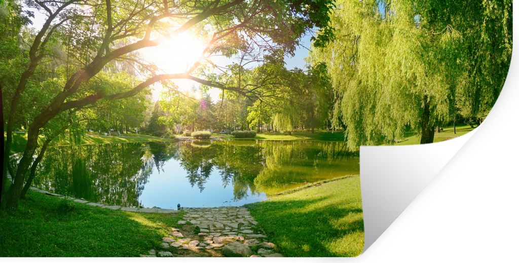 MuchoWow Wandtattoo Wandsticker Wandaufkleber Bäume - See - Sonne - Gras - Natur 40x20 cm Selbstklebend und Repositionierbar - Aufkleber