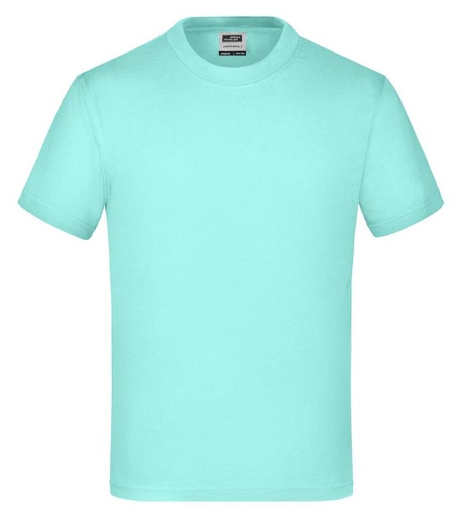 James and Nicholson - "Basic" T-Shirt für Kinder LT2895 (164-170) (Minzgrün)