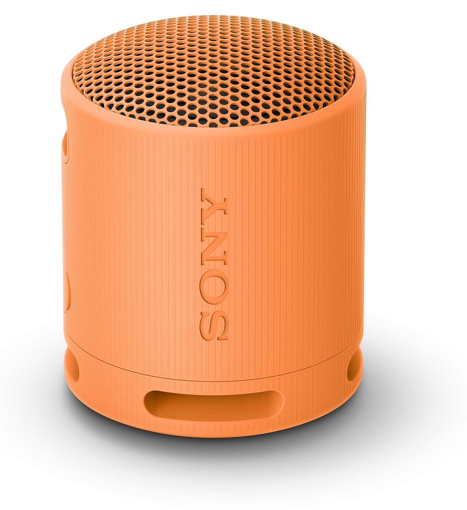 Colonna sonora Sony SRS-XB100D Immagine del prodotto 