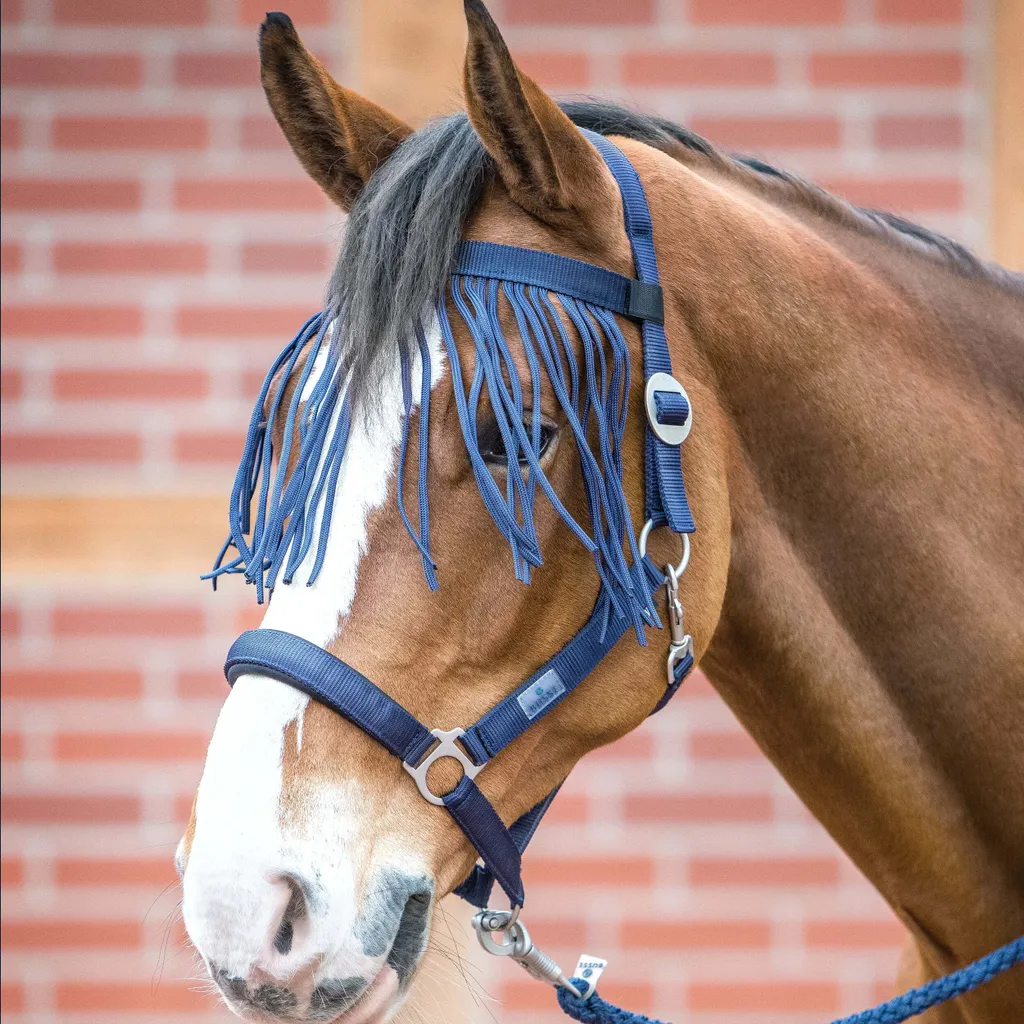 Busse VISBY II: Nastro per Fly Cord Antimosche per Cavalli | Acquista Online